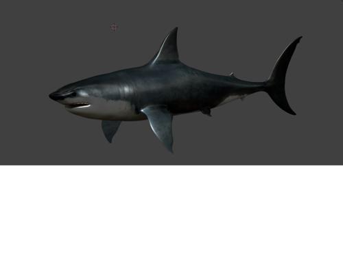 white shark preview image
